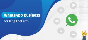 5 Striking WhatsApp Business Features You should Know About