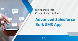 Diving Deep into Crucial Aspects of an Advanced Salesforce Bulk SMS App